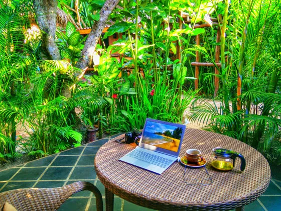 A table among the plants, with a laptop and coffee