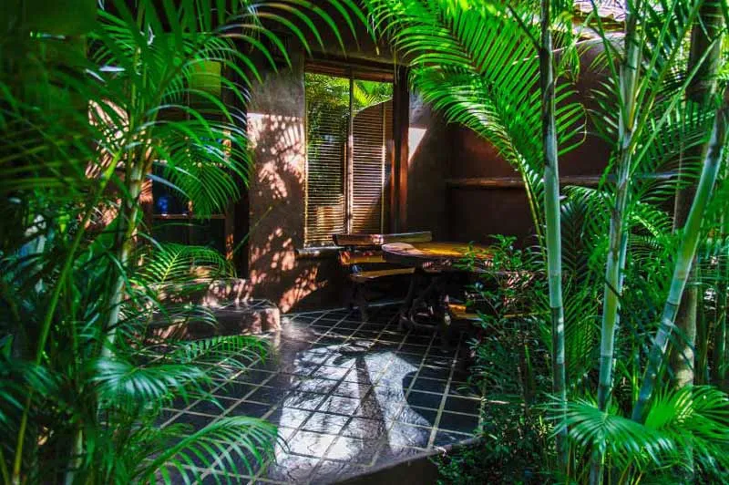 A chalet terrace surrounded by palms and bamboo