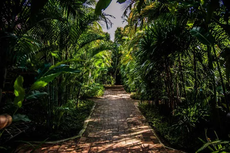 The path through the planting to the suites