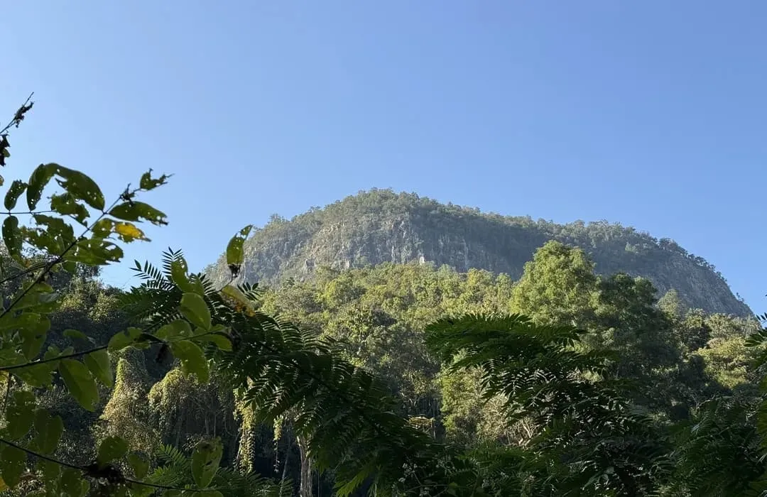 The bulk of Doi Ngom seen through the leaves from the trail below it