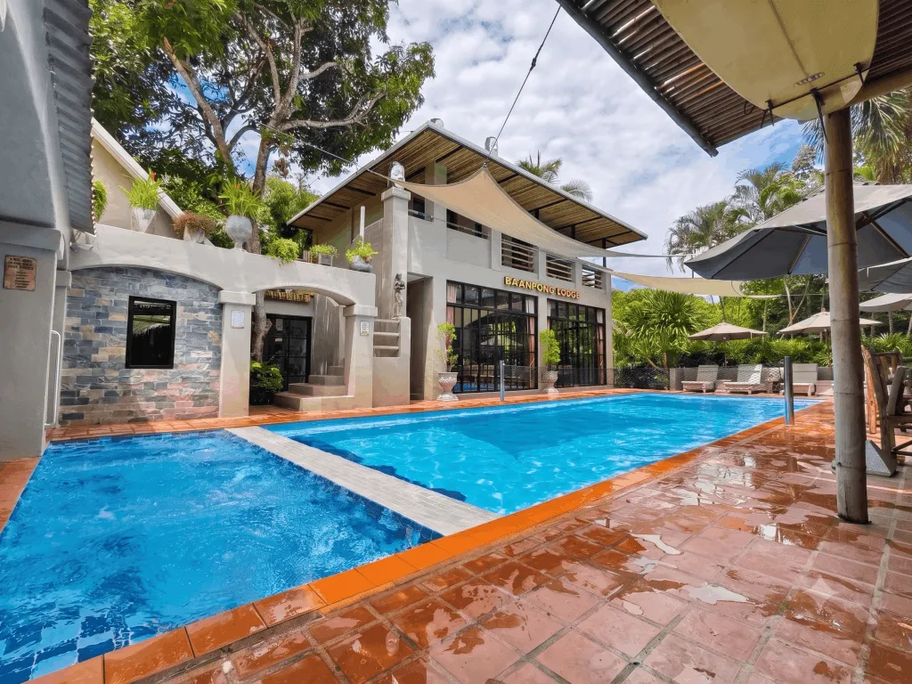 The pool looking back at the lodge building, with loungers and umbrellas along the terrace