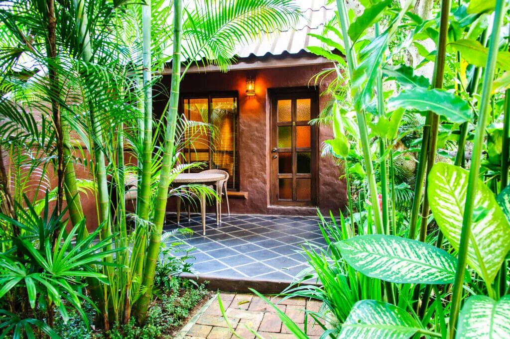 A chalet doorway and its terrace, deep in the planting