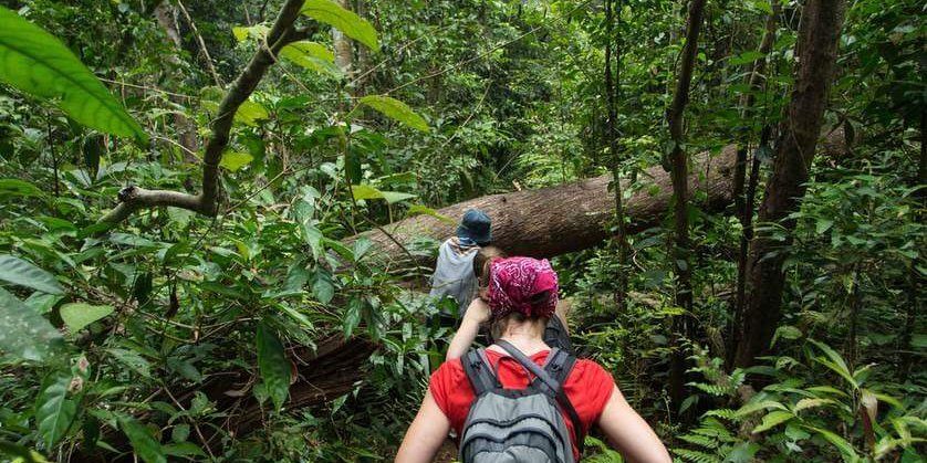 people hiking in the jungle baanpong adventures